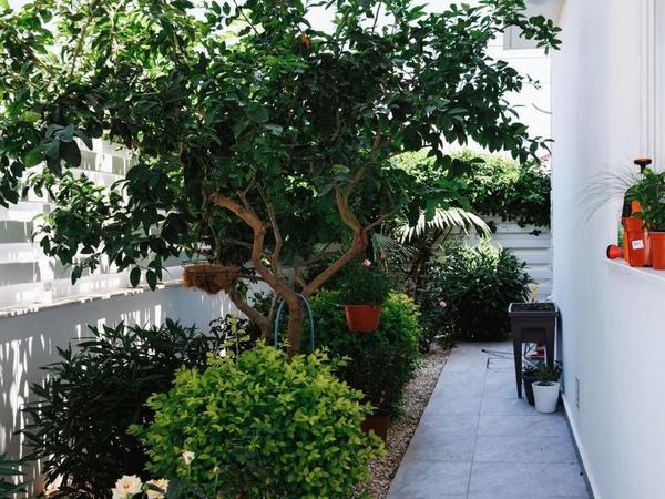 4 bedroom detached house for rent dekeleia larnaca 8791373 image 16674323