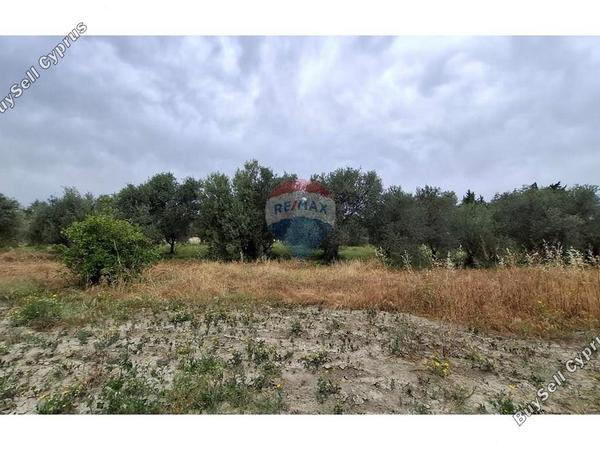 land for sale erimi limassol 1504373 image 14129512