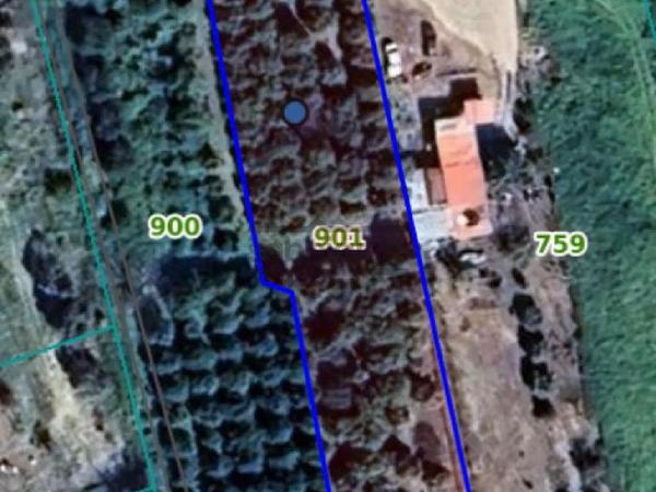 land for sale kolossi limassol 8742373 image 16403618