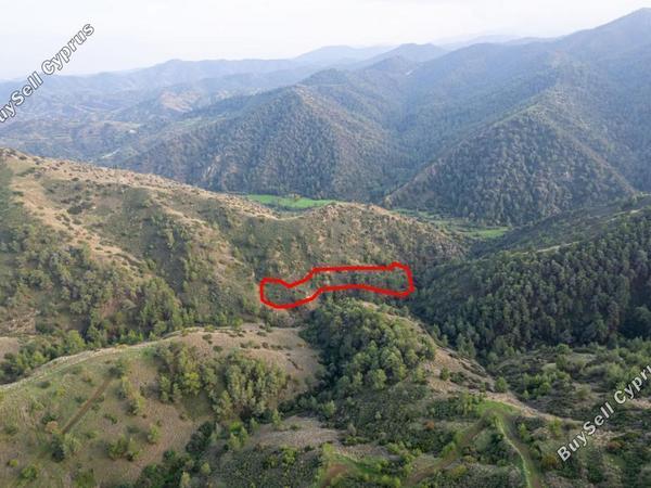 land for sale pigenia nicosia 966373 image 7332459