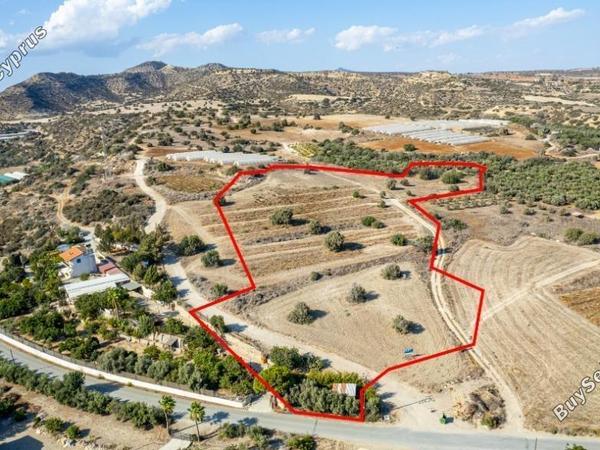 plot for sale agios theodoros larnacas larnaca 8139373 image 13386913