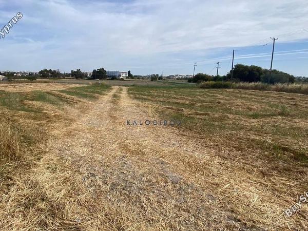 plot for sale mazotos larnaca 1195373 image 5577862
