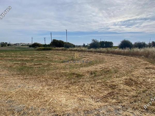 plot for sale mazotos larnaca 1195373 image 5577866