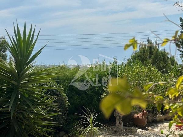 3 bedroom bungalow for sale kamares tala paphos 7514473 image 13854068
