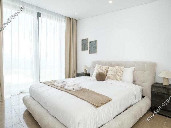 3 bedroom detached house for rent tsada paphos 1911473 image 12719642