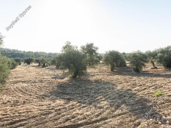 land for sale lythrodontas nicosia 1048473 image 15601969