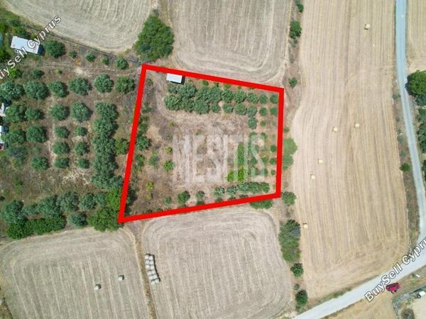 plot for sale pera orinis nicosia 1393473 image 10504936