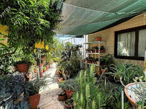 4 bedroom detached house for sale mitsero nicosia 1493573 image 16740827