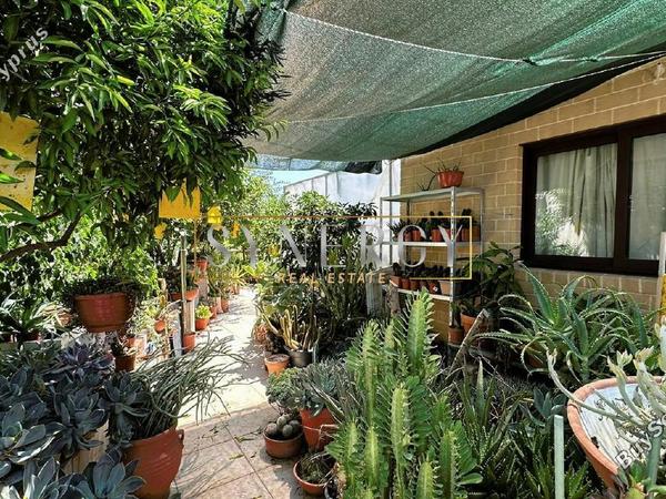 4 bedroom detached house for sale mitsero nicosia 1493573 image 5251321