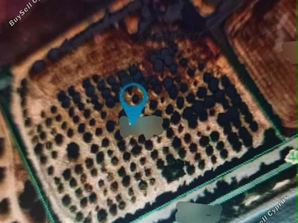 land for sale alethriko larnaca 8693573 image 16186365