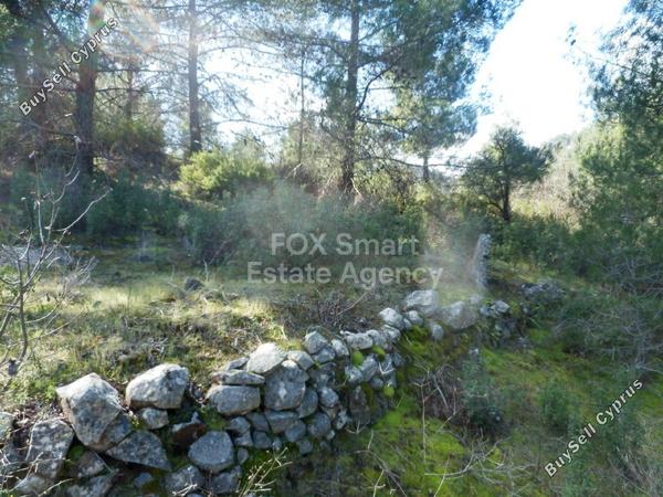 land for sale fikardou nicosia 1224573 image 5179349