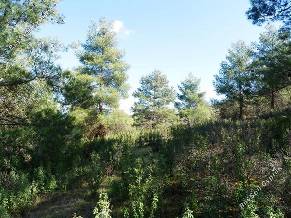 land for sale fikardou nicosia 1224573 image 5179356