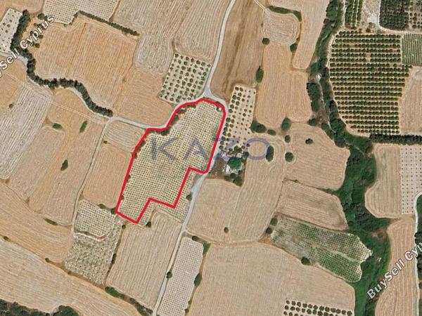 land for sale paramali limassol 8140573 image 13399338