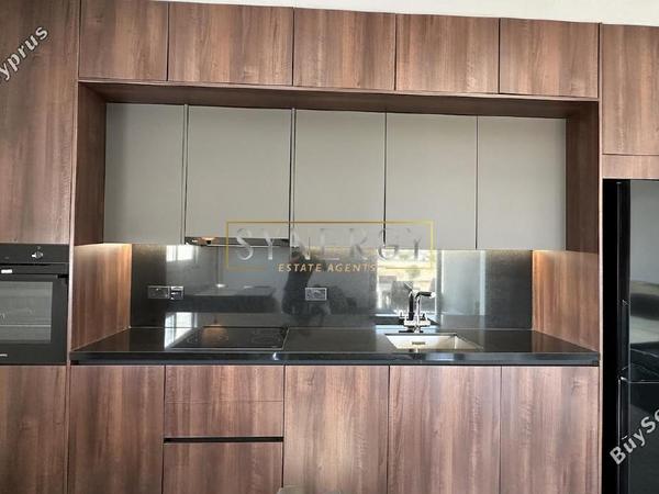1 bedroom apartment for rent aglantzia nicosia 8626673 image 16339742