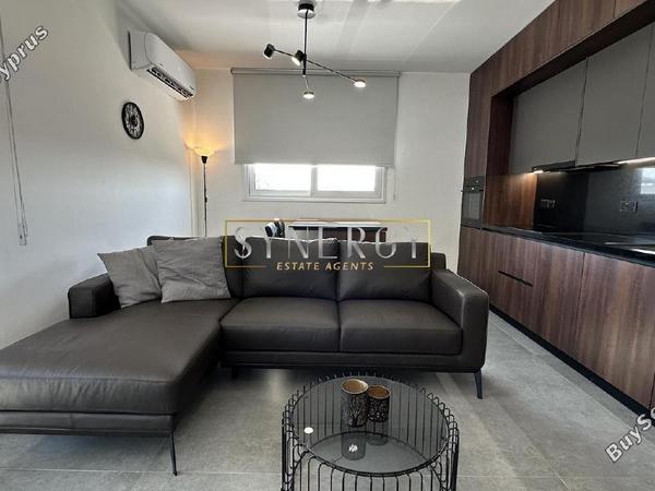1 bedroom apartment for rent aglantzia nicosia 8626673 image 16339748