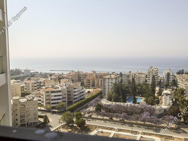 1 bedroom apartment for rent potamos germasogeias limassol 8771673 image 16577934