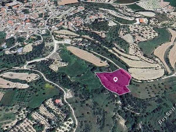land for sale kallepeia paphos 8629673 image 15869496