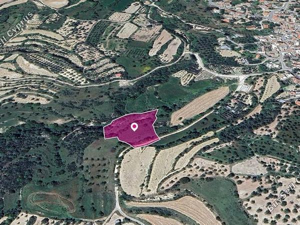 land for sale kallepeia paphos 8629673 image 15869497