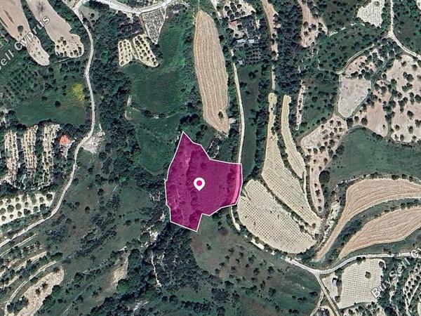 land for sale kallepeia paphos 8629673 image 15869498