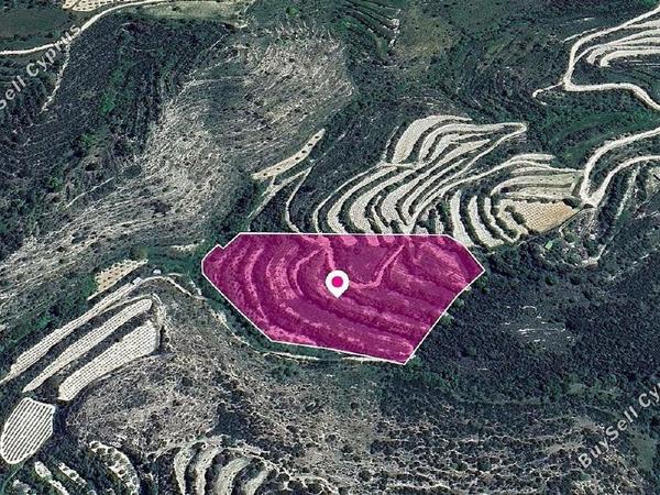 land for sale koili paphos 1897673 image 14207292