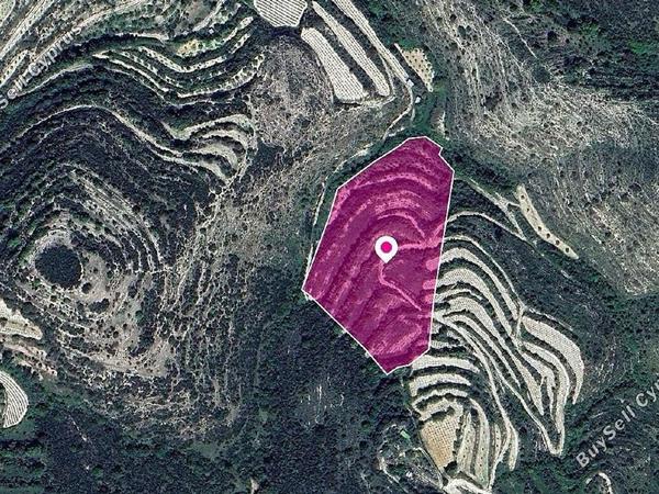 land for sale koili paphos 1897673 image 14207294