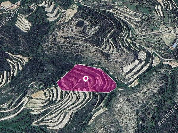 land for sale koili paphos 1897673 image 14207297