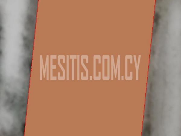 land for sale pera orinis nicosia 977673 image 10564837