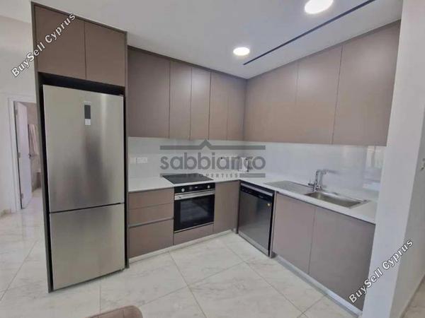 2 bedroom apartment for rent livadia larnacas larnaca 8739773 image 16374620
