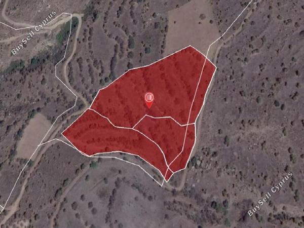 land for sale pentalia paphos 8630773 image 16278042