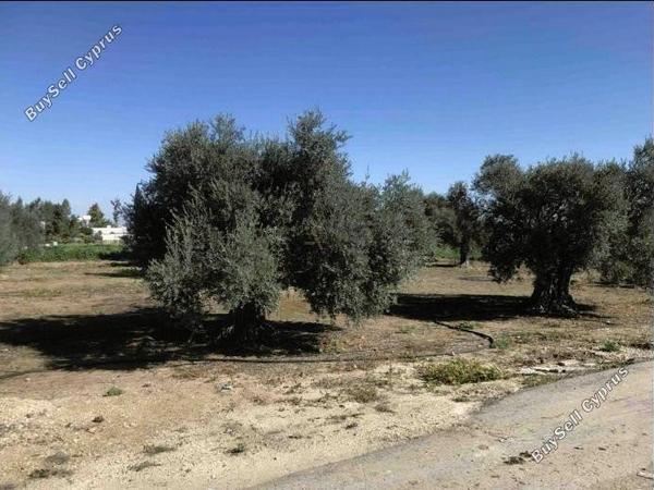 plot for sale pano deftera nicosia 1280773 image 5830479