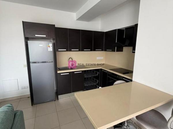 1 bedroom apartment for rent dasoupoli nicosia 8224873 image 16622024
