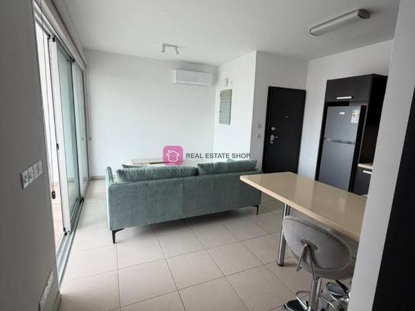 1 bedroom apartment for rent dasoupoli nicosia 8224873 image 16622028