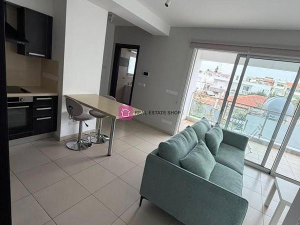 1 bedroom apartment for rent dasoupoli nicosia 8224873 image 16622029