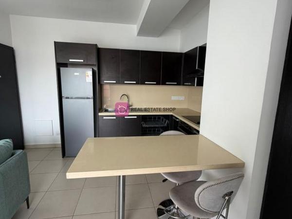 1 bedroom apartment for rent dasoupoli nicosia 8224873 image 16622043