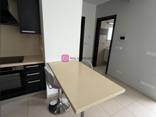1 bedroom apartment for rent dasoupoli nicosia 8224873 image 16622049