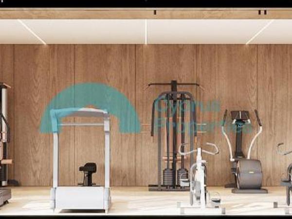 2 bedroom apartment for sale tombs of the kings paphos 8433873 image 16019800