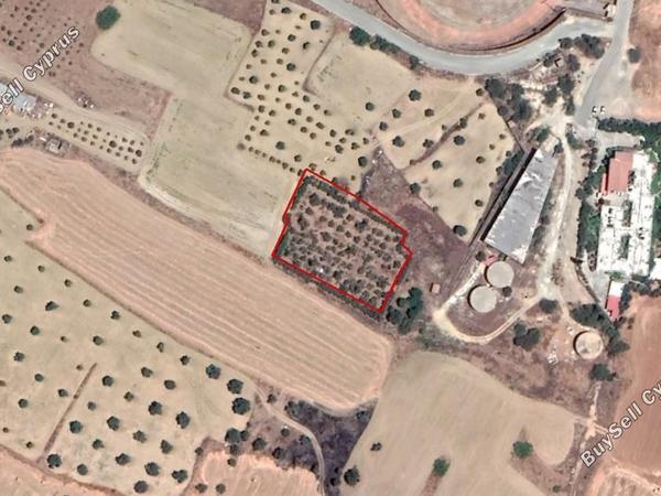 land for sale lakatamia nicosia 829873 image 2820404