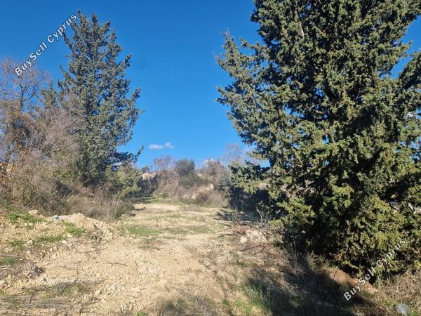 land for sale tsada paphos 8067873 image 13022232