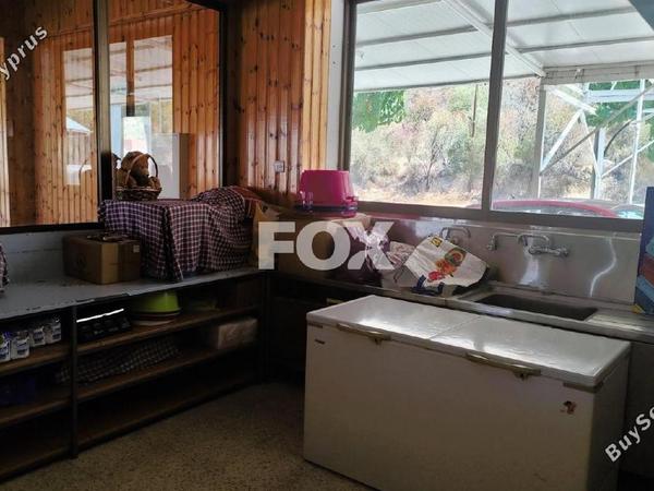 studio shop for rent laneia limassol 1512873 image 5631610