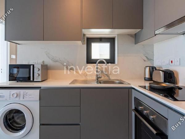 1 bedroom apartment for rent larnaca municipality larnaca 8702973 image 16229979