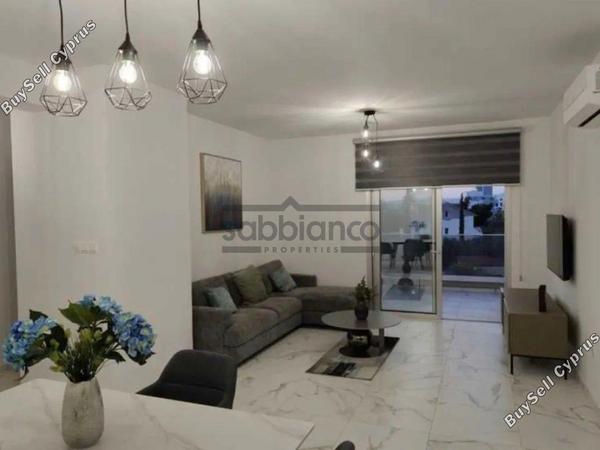 2 bedroom apartment for rent chrysopolitissa larnaca 8751973 image 16497745