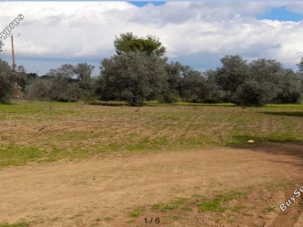 land for sale lythrodontas nicosia 7948973 image 16176228