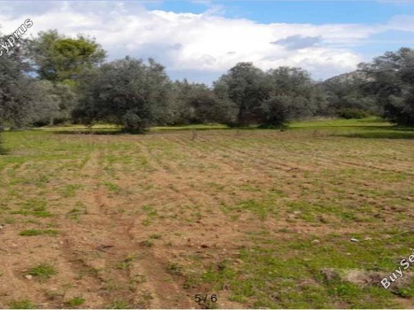 land for sale lythrodontas nicosia 7948973 image 16176231