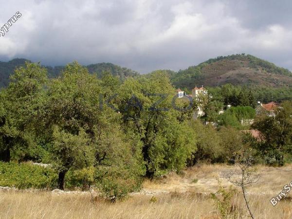 land for sale pera pedi limassol 1735973 image 5724084