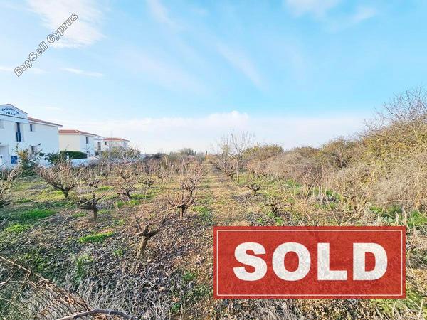 land sold kathikas paphos 7936973 image 11292374