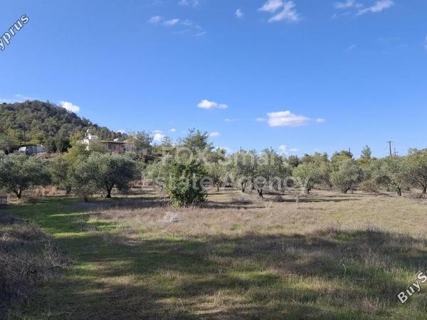 3 bedroom detached house for sale alampra nicosia 7784083 image 11895517
