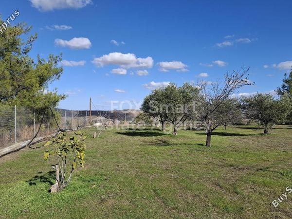 3 bedroom detached house for sale alampra nicosia 7784083 image 11895519