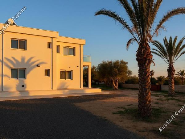 4 bedroom detached house for rent peyia paphos 8068083 image 13022291
