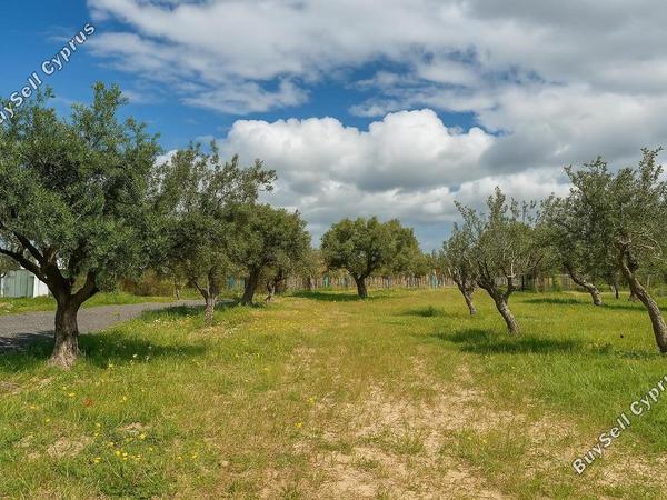 4 bedroom detached house for rent peyia paphos 8068083 image 13022294