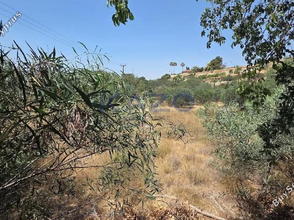 land for sale agios tychonas limassol 1768083 image 17034861